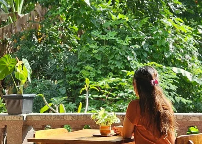 Sesari House أوبود