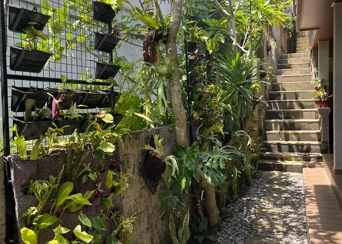 بيت ضيافة Sesari House