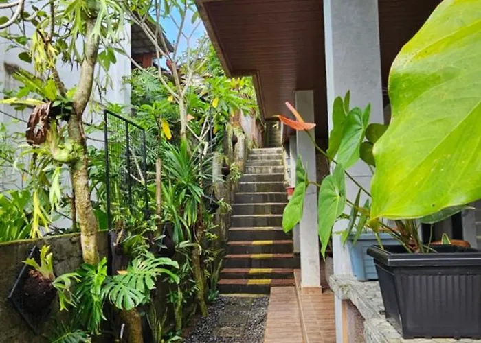 Sesari House بيت ضيافة أوبود
