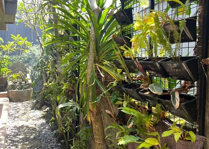 Sesari House أوبود